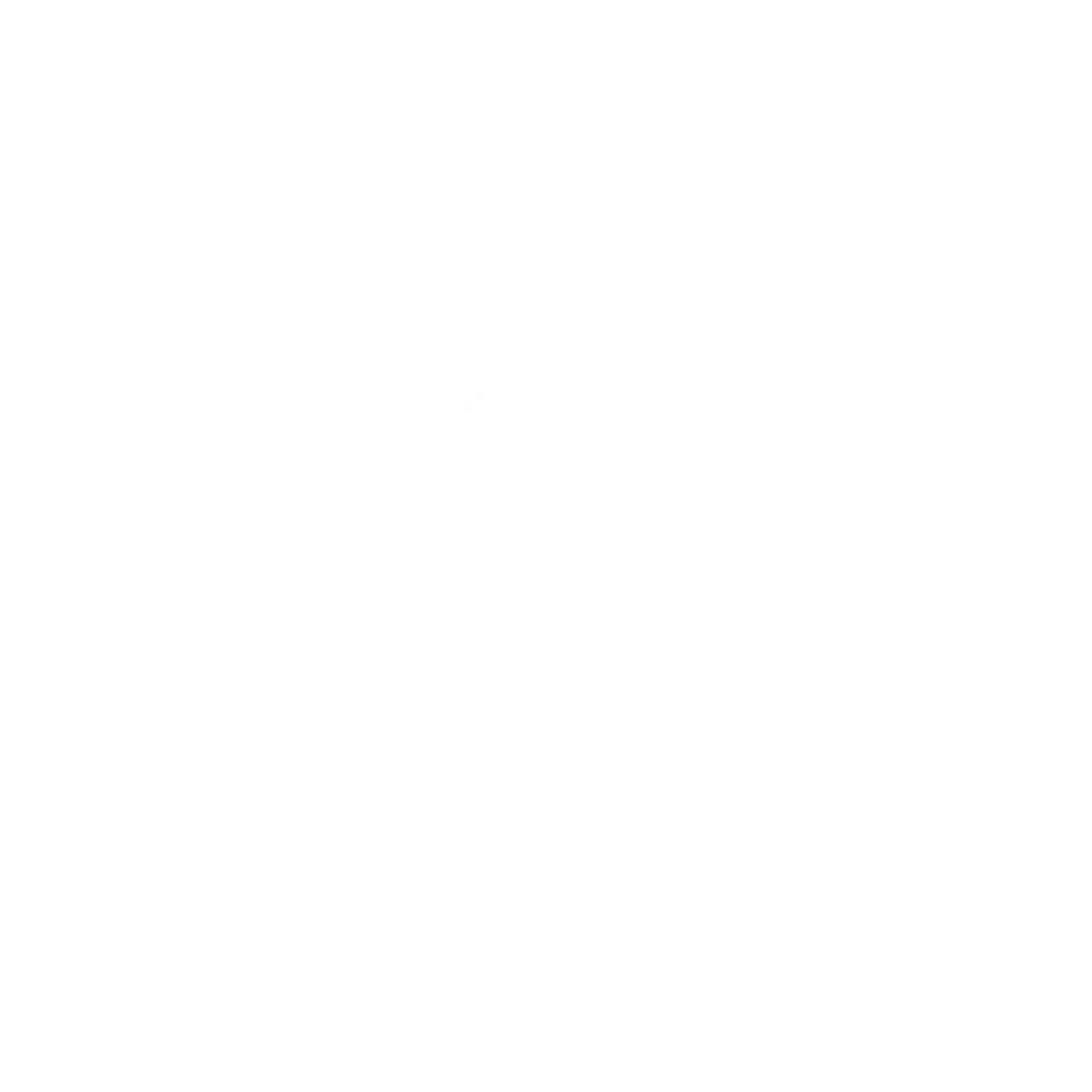 Google partner